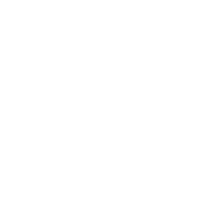 vehicle-hire.png